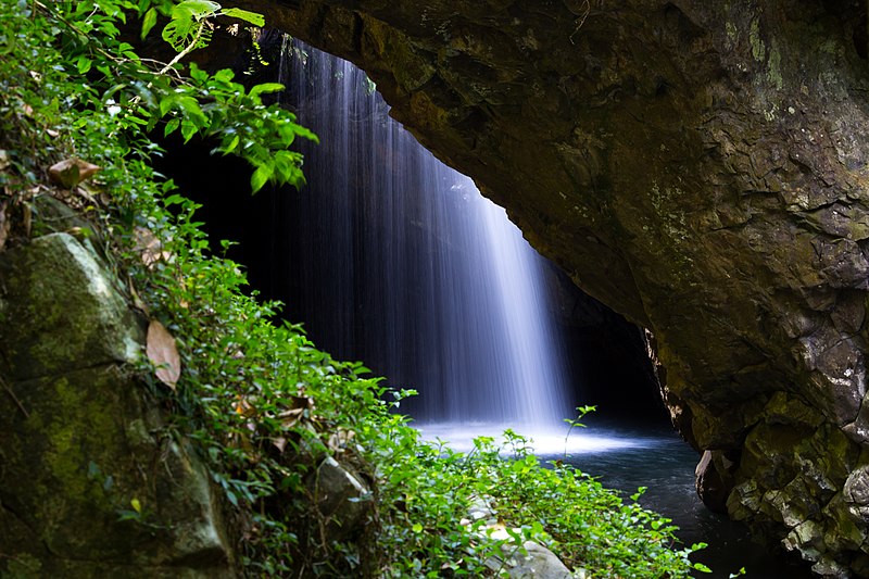File:Macgregor Falls and Cave Creek in Springbrook National Park 01.jpg