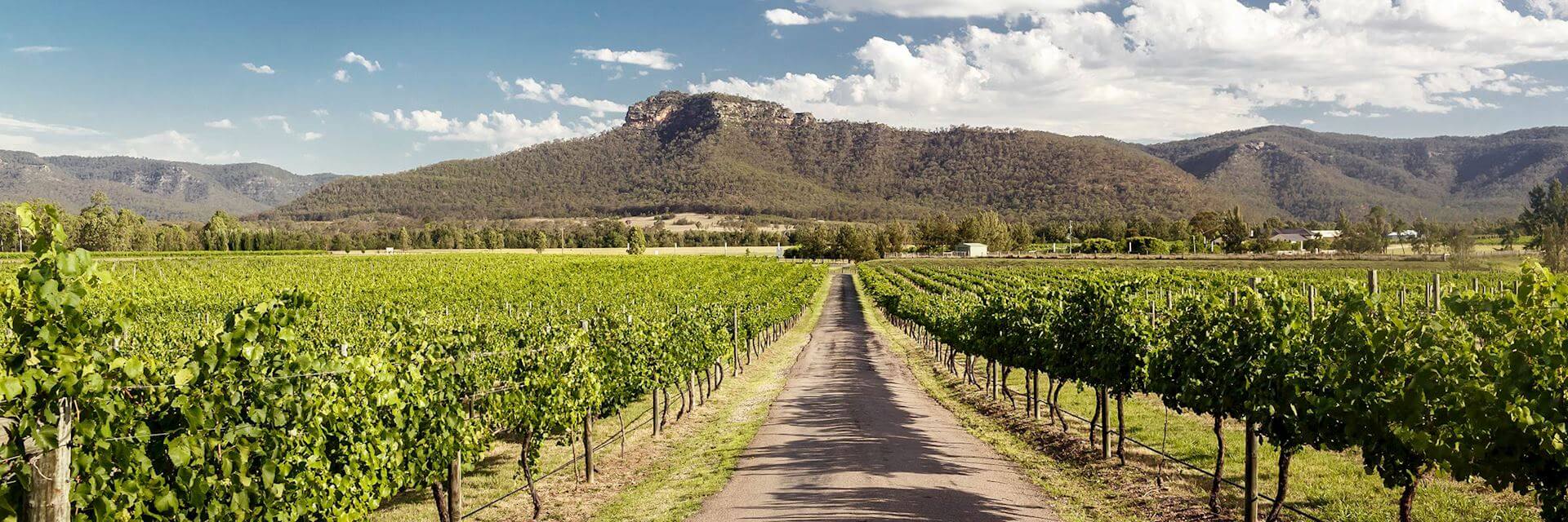 Hunter Valley in Australia.